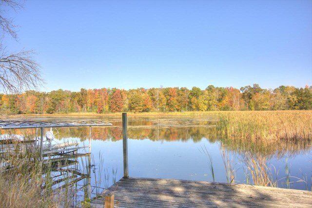N16180 Deerfield Dr, Nekoosa, WI 54457 - dock area with a water view and a view of trees
