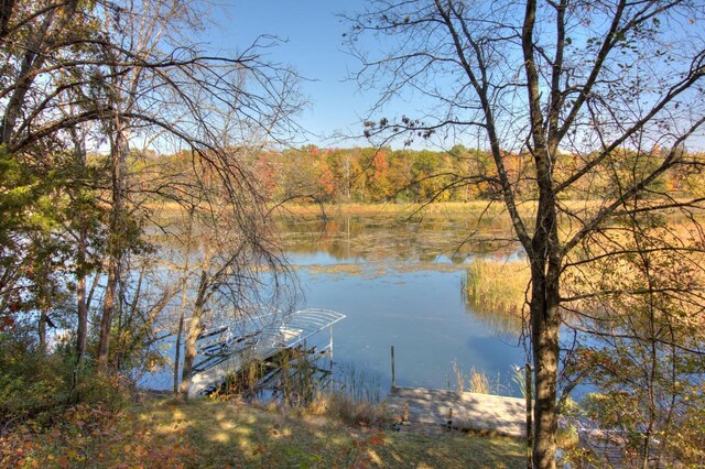 N16180 Deerfield Dr, Nekoosa, WI 54457 - property view of water featuring a view of trees and a dock