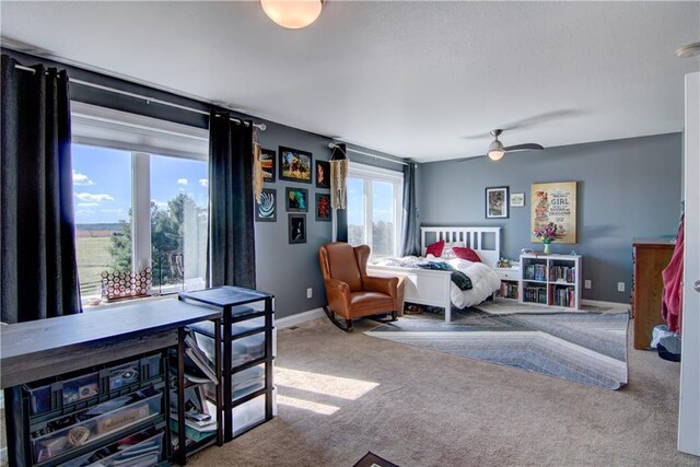 4884 Priory Rd, Eau Claire, WI 54701 - carpeted bedroom with baseboards and ceiling fan