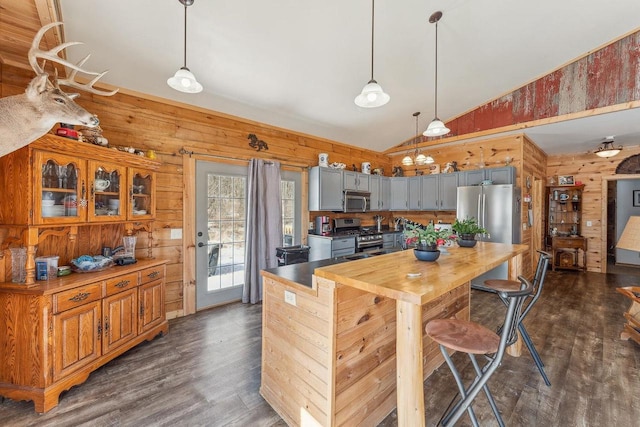 N9805 County Road Aa, Portage, WI 53901 - kitchen featuring stainless steel appliances, wooden walls, dark wood-type flooring, gray cabinetry, and decorative light fixtures