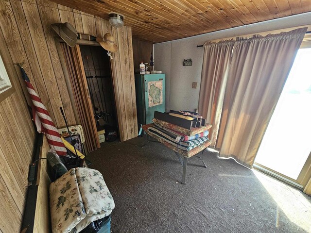 N2709 Lakeshore Dr, Montello, WI 53949 - living area featuring wood walls and wooden ceiling