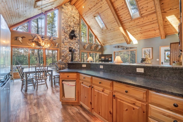 W7113 Bighorn Ct, Wautoma, WI 54982 - kitchen featuring wood ceiling, a skylight, and a wood stove
