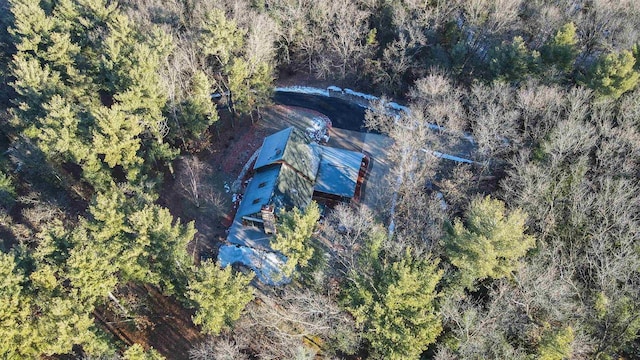 W7113 Bighorn Ct, Wautoma, WI 54982 - bird's eye view featuring a wooded view