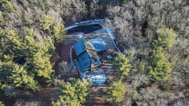 W7113 Bighorn Ct, Wautoma, WI 54982 - bird's eye view featuring a forest view