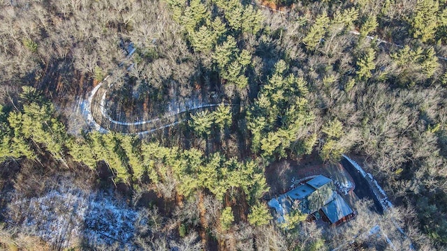 W7113 Bighorn Ct, Wautoma, WI 54982 - birds eye view of property featuring a wooded view