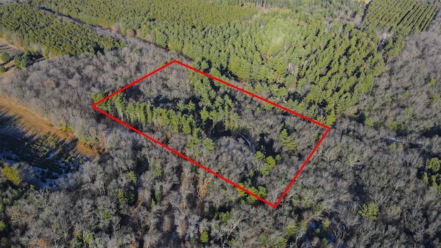 W7113 Bighorn Ct, Wautoma, WI 54982 - bird's eye view featuring a forest view