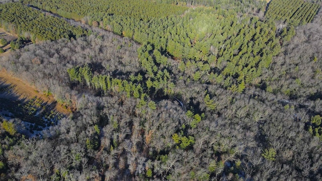 W7113 Bighorn Ct, Wautoma, WI 54982 - birds eye view of property featuring a wooded view