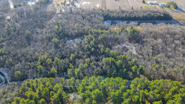W7113 Bighorn Ct, Wautoma, WI 54982 - aerial view with a wooded view