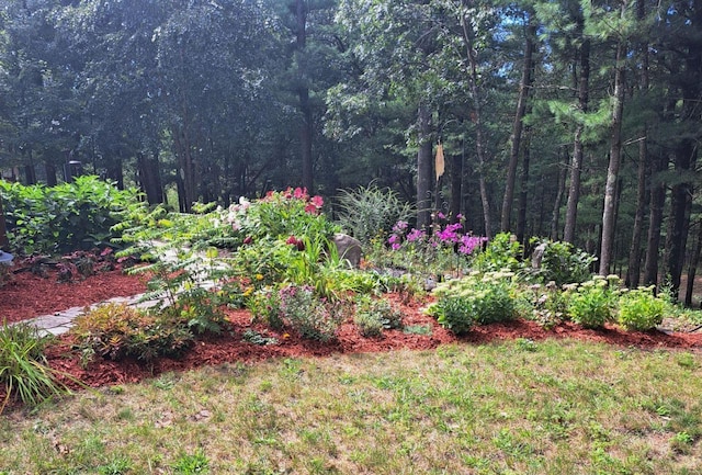 W7113 Bighorn Ct, Wautoma, WI 54982 - view of yard with a view of trees