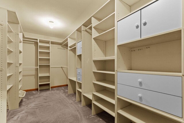 walk in closet featuring carpet floors