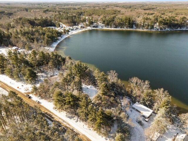 bird's eye view featuring a water view and a view of trees