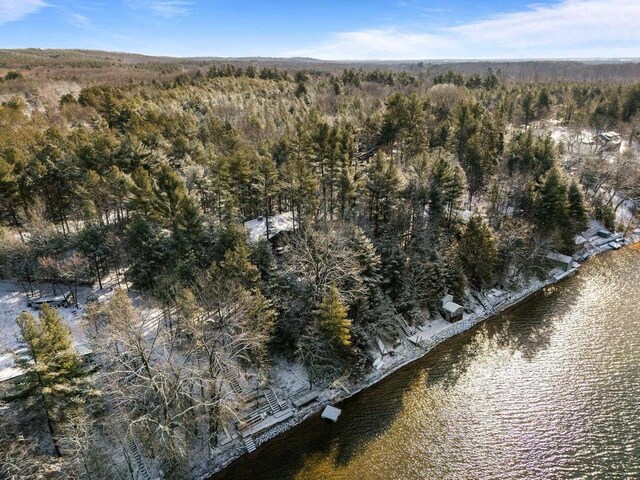 birds eye view of property featuring a water view and a view of trees