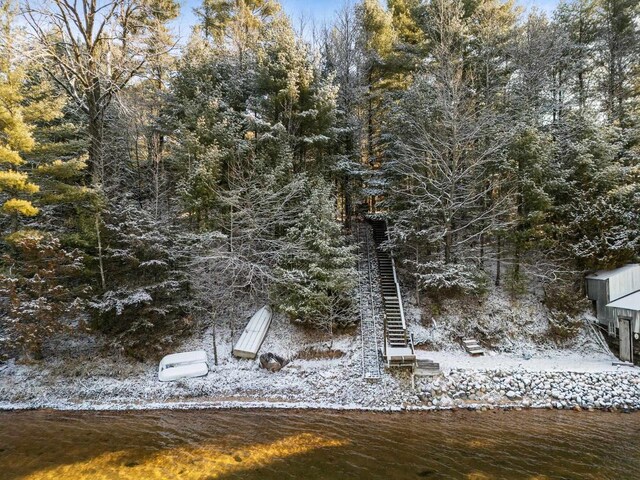 view of local wilderness
