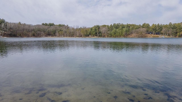W13573 S Pleasant Rd, Westfield, WI 53964 - water view featuring a heavily wooded area
