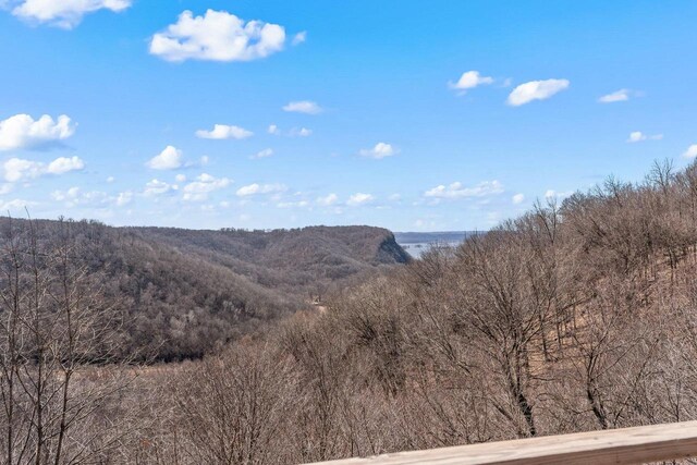 9614 Mississippi Ln, Bagley, WI 53801 - property view of mountains featuring a wooded view