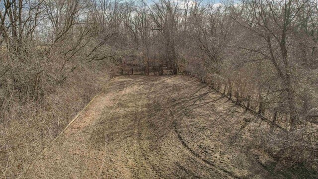 N6741 S Center Rd, Beaver Dam, WI 53916 - view of local wilderness