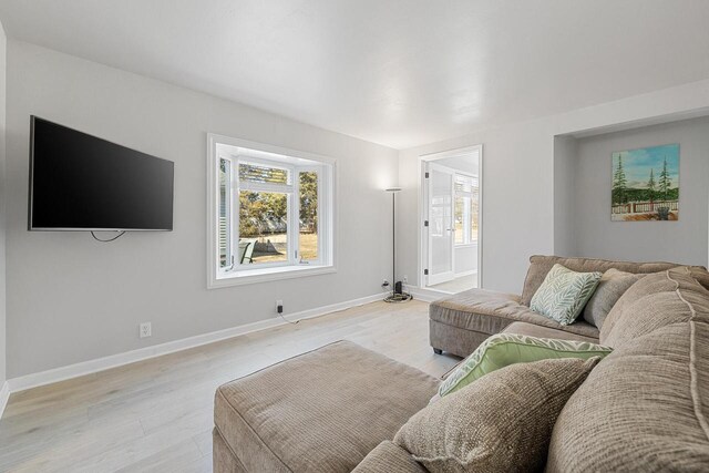 2548 Wallace Lake Rd, West Bend, WI 53090 - living room featuring baseboards, a wealth of natural light, and light wood finished floors