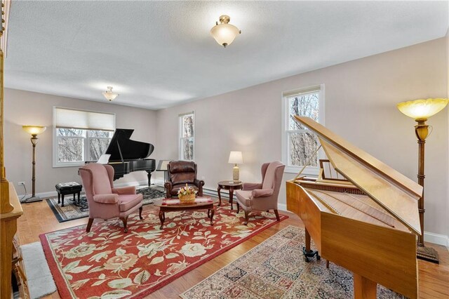 7822 Blue Valley Dr, Eau Claire, WI 54703 - living room featuring light wood finished floors, a wealth of natural light, baseboards, and a textured ceiling