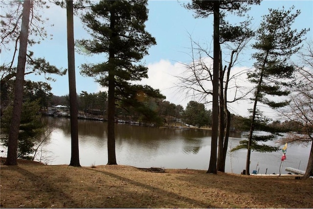 E5512 784th Ave, Menomonie, WI 54751 - water view