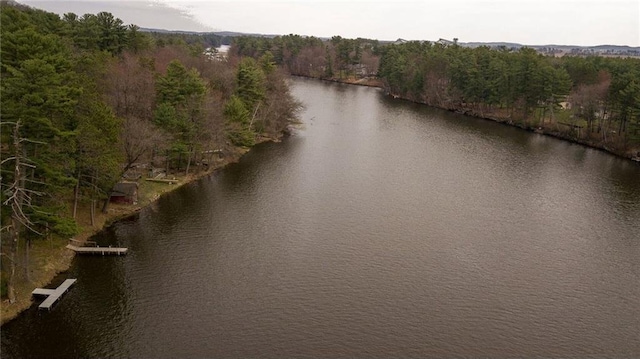 E5512 784th Ave, Menomonie, WI 54751 - view of water feature with a forest view