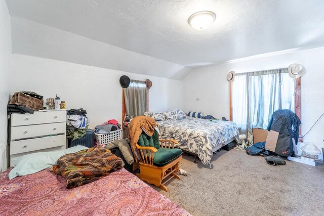 430 N 2nd Ave, Wausau, WI 54401 - carpeted bedroom with vaulted ceiling
