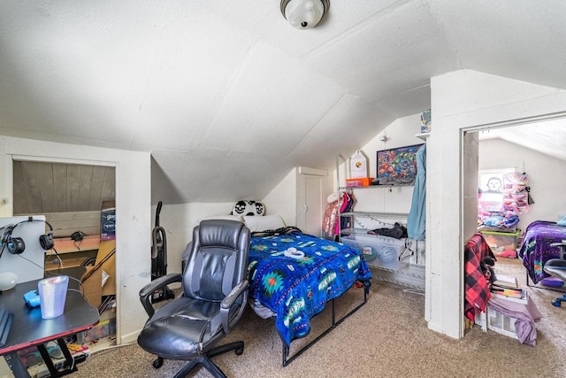 516 Hamilton St, Wausau, WI 54403 - bedroom with a textured ceiling, vaulted ceiling, and carpet