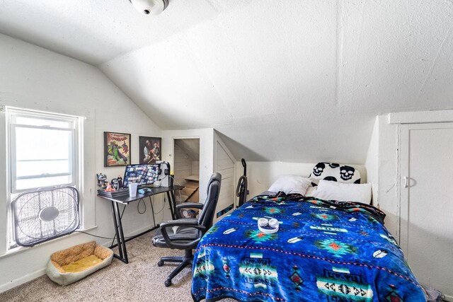 516 Hamilton St, Wausau, WI 54403 - carpeted bedroom featuring baseboards, vaulted ceiling, and a textured ceiling