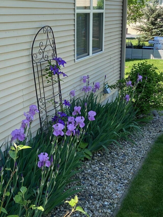 exterior details with fence
