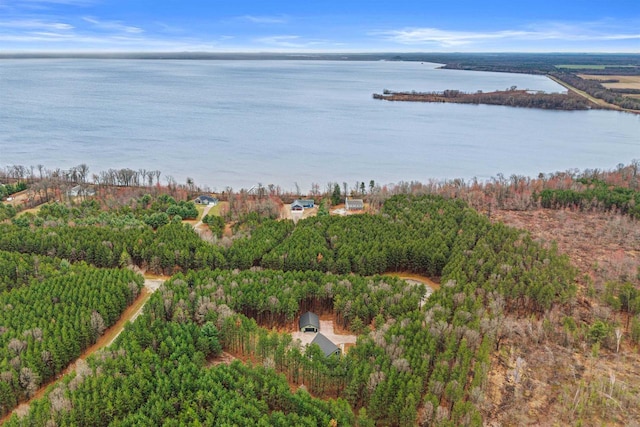 W5430 Southview Dr, Necedah, WI 54646 - bird's eye view featuring a water view