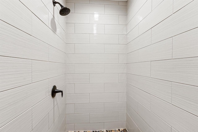 W5430 Southview Dr, Necedah, WI 54646 - full bath featuring a tile shower
