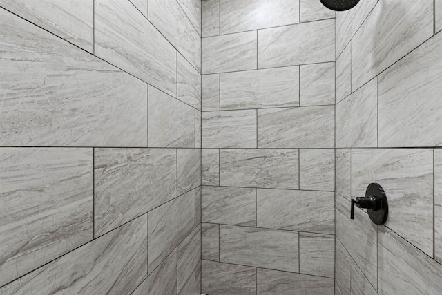 W5430 Southview Dr, Necedah, WI 54646 - details featuring tiled shower