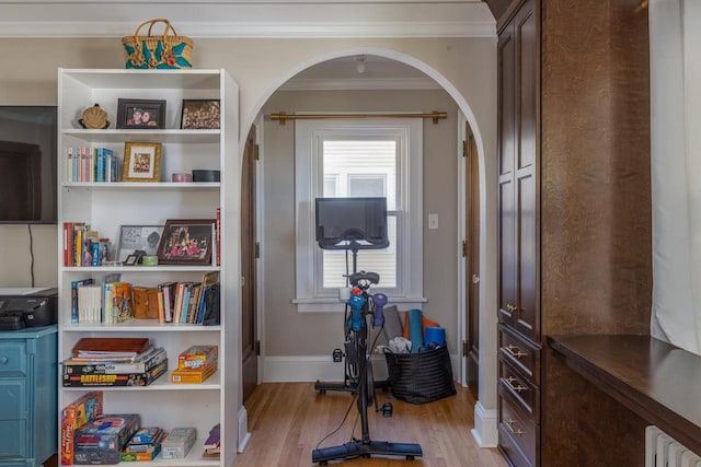 1337 Washington Ave, Oshkosh, WI 54901 - exercise room with arched walkways, ornamental molding, and light wood-style floors