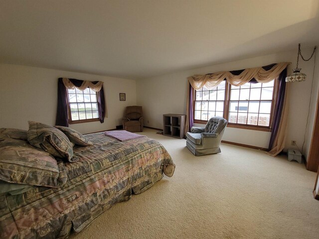 302 Riverview Ct, Portage, WI 53901 - bedroom featuring light carpet and baseboards