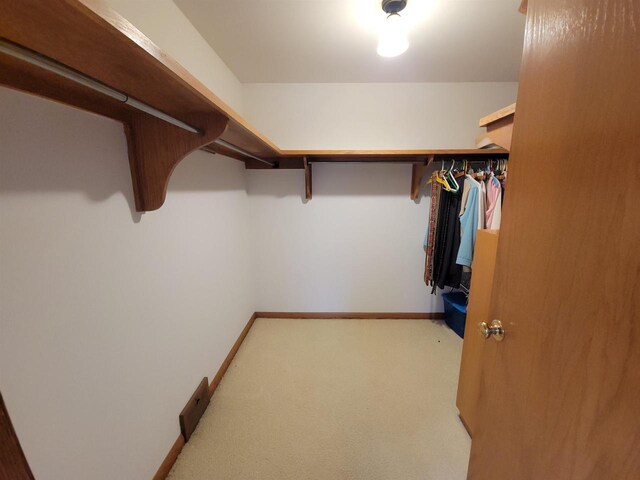 302 Riverview Ct, Portage, WI 53901 - walk in closet featuring carpet flooring