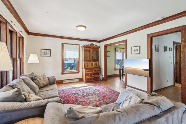 308 Forest St, Mount Horeb, WI 53572 - living area featuring a baseboard radiator, plenty of natural light, baseboards, and ornamental molding