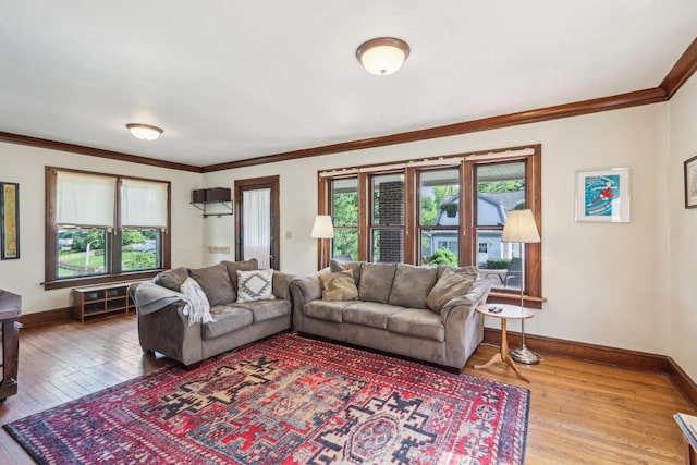 308 Forest St, Mount Horeb, WI 53572 - living room featuring ornamental molding, baseboards, and hardwood / wood-style floors
