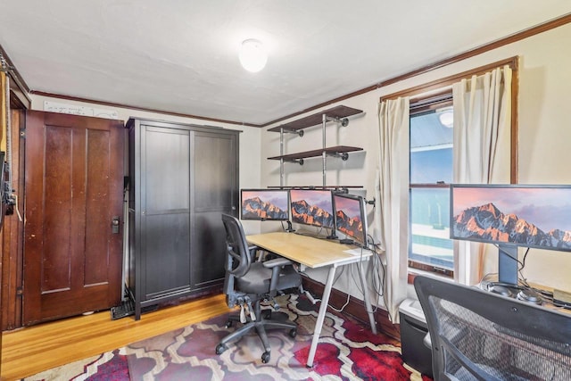 308 Forest St, Mount Horeb, WI 53572 - office area featuring healthy amount of natural light, wood finished floors, and crown molding