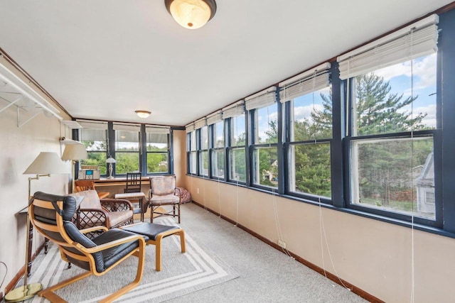308 Forest St, Mount Horeb, WI 53572 - sunroom featuring carpet