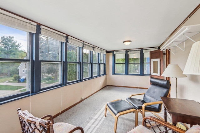 308 Forest St, Mount Horeb, WI 53572 - sunroom / solarium featuring carpet