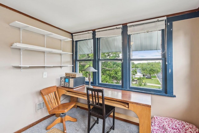 308 Forest St, Mount Horeb, WI 53572 - office space with plenty of natural light and baseboards