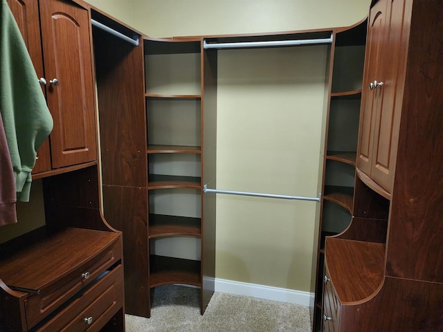 1579 Foxfire Ct, Waupaca, WI 54981 - view of walk in closet