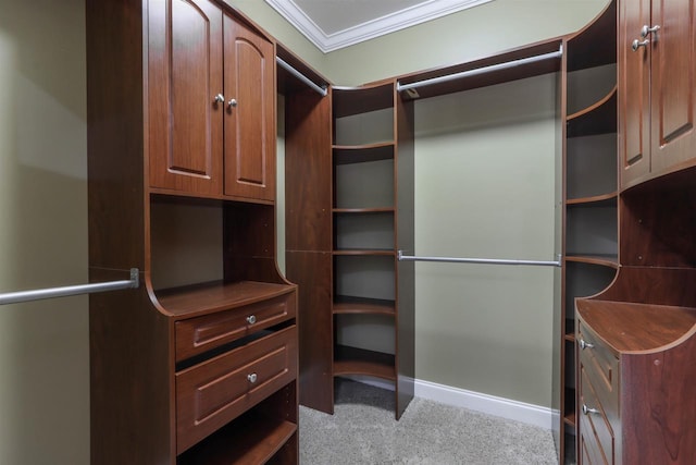 1579 Foxfire Ct, Waupaca, WI 54981 - spacious closet featuring light carpet