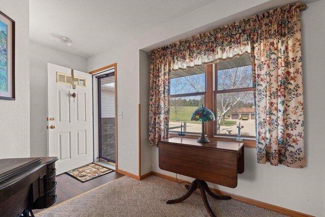 509 Meadow View Rd, Mount Horeb, WI 53572 - entrance foyer with wood finished floors and baseboards