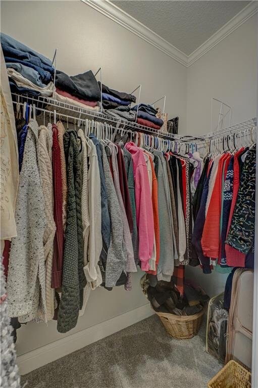 102 Linden Ave, Hudson, WI 54016 - walk in closet featuring carpet