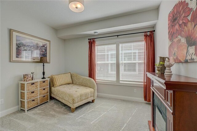 102 Linden Ave, Hudson, WI 54016 - living area featuring light colored carpet and baseboards