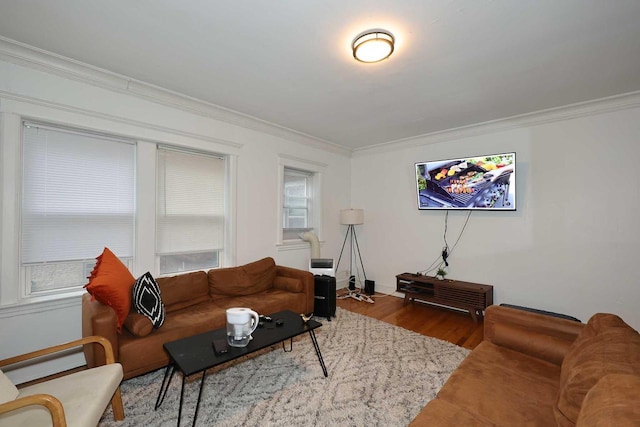 living room with ornamental molding and wood finished floors