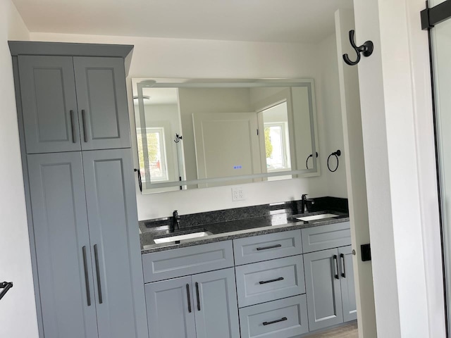 bathroom with double vanity, a sink, and plenty of natural light