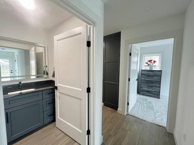 bathroom featuring baseboards, vanity, and wood finished floors