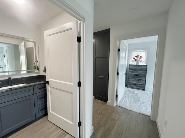bathroom featuring wood finished floors and vanity