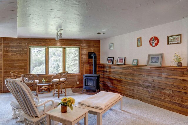 W5854 Bubbling Springs Dr, Elkhorn, WI 53121 - living area with wood walls, a wood stove, and carpet floors